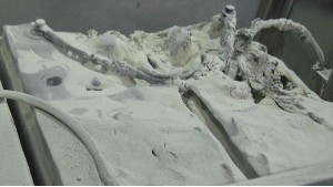 鈺鑫電氣提示您如何預(yù)防蓄電池發(fā)生故障?