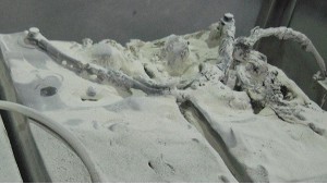 詳解鈺鑫蓄電池內阻監測多少天一周期！