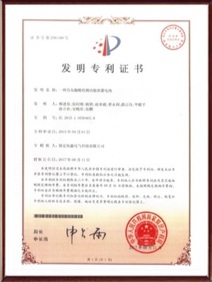 一種具有漏酸檢測功能的蓄電池發明專利證書