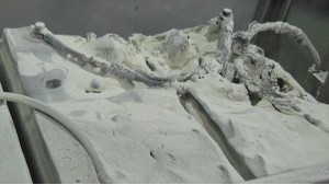 鈺鑫電氣為您分析蓄電池失效的表現方式！